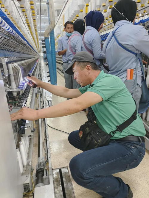 揚(yáng)帆破浪 重慶金貓2024年出海之路的技術(shù)服務(wù)戰(zhàn)略